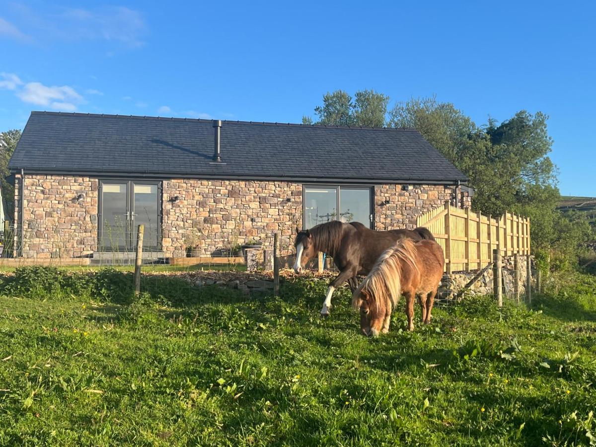 Hedd Wen Villa Llanllyfni Dış mekan fotoğraf