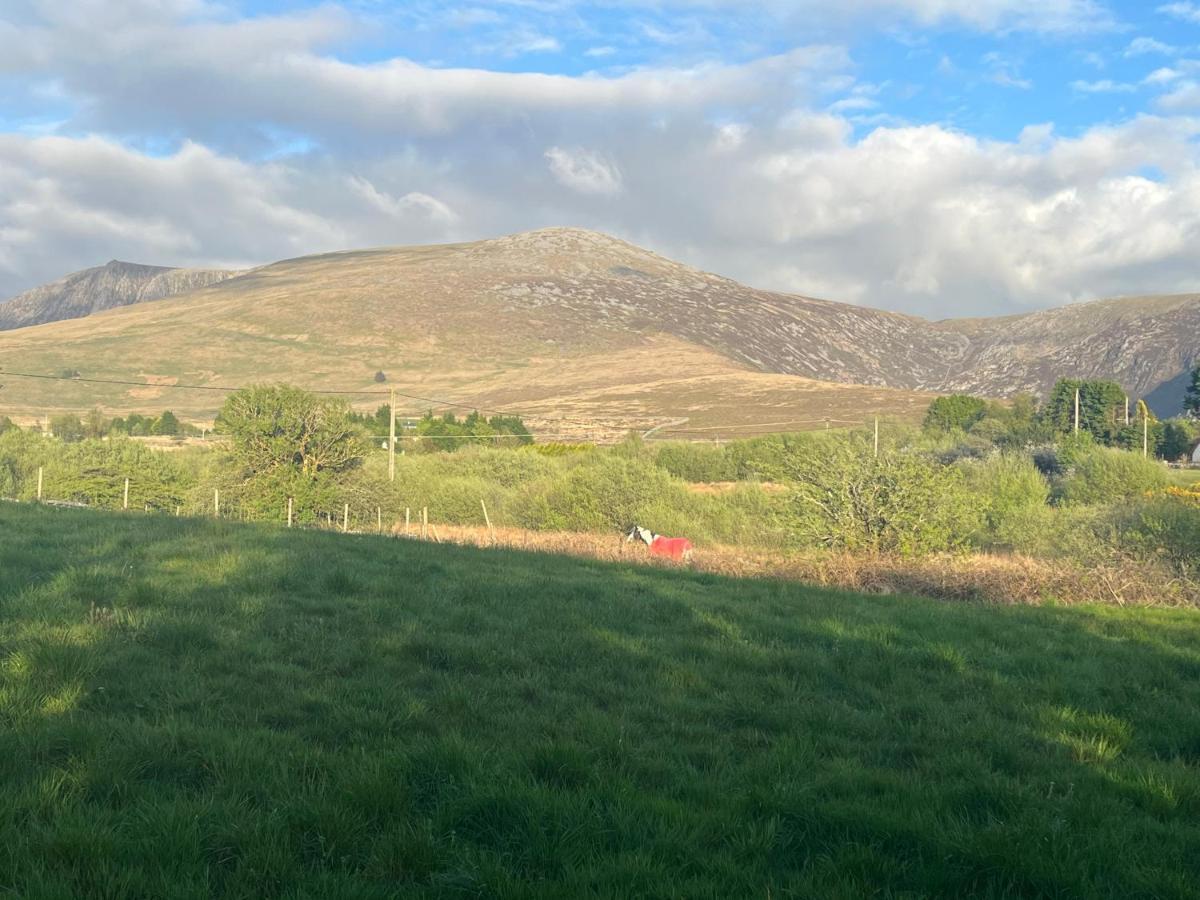 Hedd Wen Villa Llanllyfni Dış mekan fotoğraf