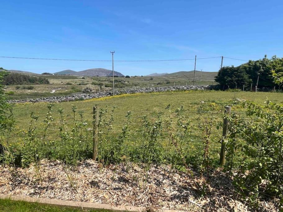 Hedd Wen Villa Llanllyfni Dış mekan fotoğraf