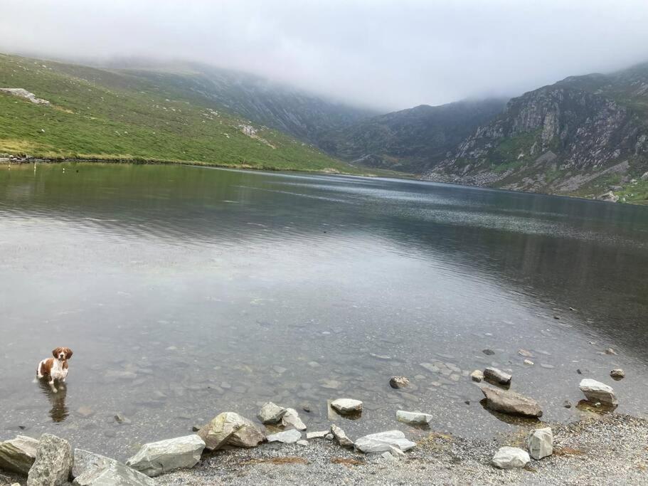 Hedd Wen Villa Llanllyfni Dış mekan fotoğraf